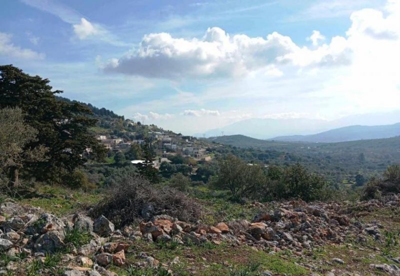 Malaxa Kreta, Malaxa: Grundstück als Investitionsmöglichkeit zu verkaufen Grundstück kaufen